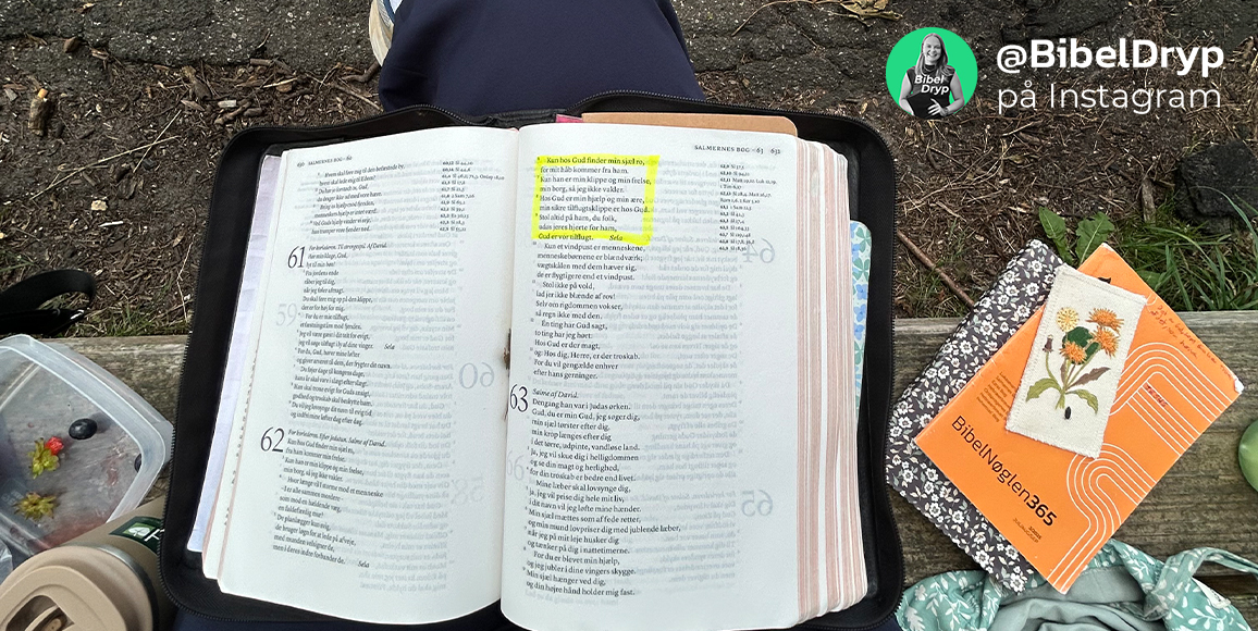 BibelDryp